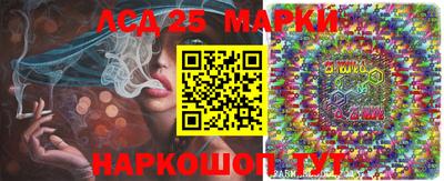 гидропоника Можга