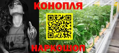 мяу мяу мука Нальчик