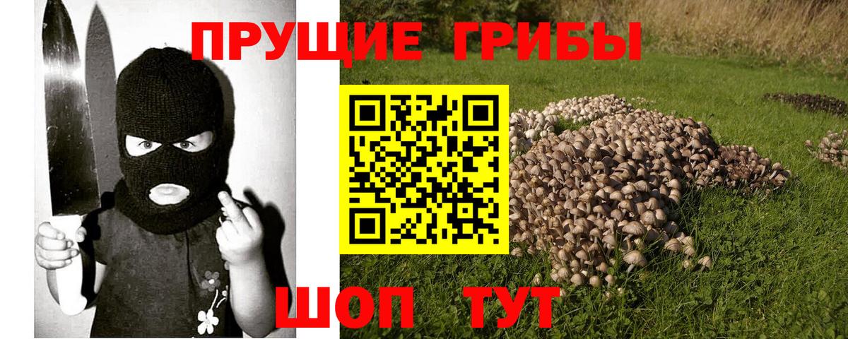 Урай  Галлюциногенные грибы Psilocybe  Вход с VPN 